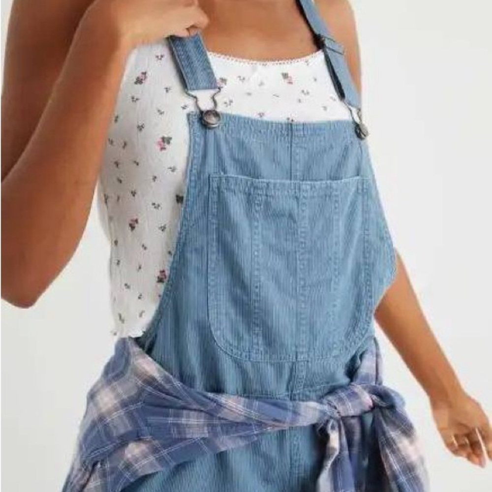 NWOT Aerie Railroad Stripe Overalls